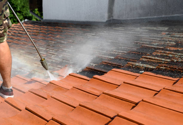 Best Commercial Pressure Washing  in Foley, MN