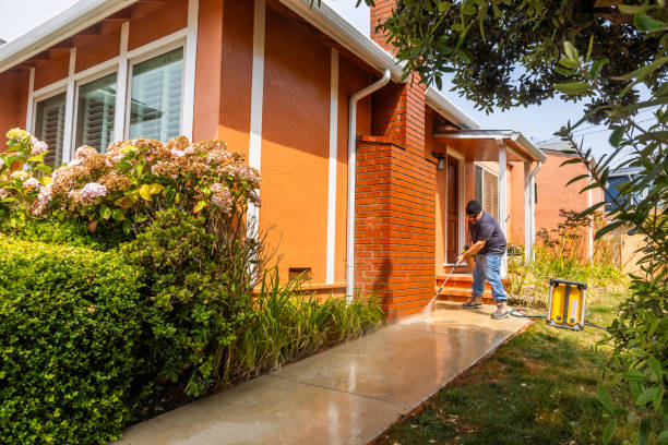 Best Deck Cleaning Services  in Foley, MN