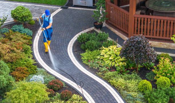 Best Commercial Building Pressure Washing  in Foley, MN